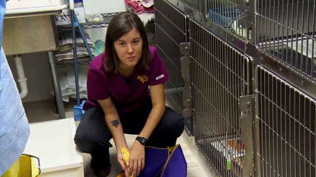 S02:E05 - The Lion's Den