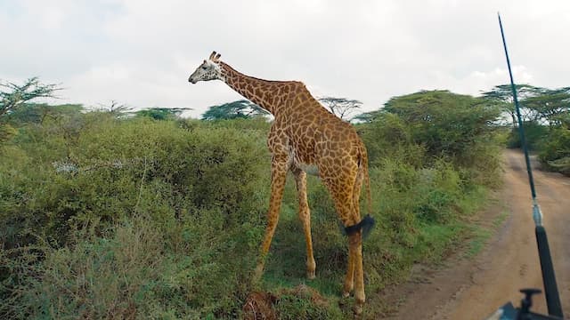 S01:E11 - Nairobi, Kenya Part II