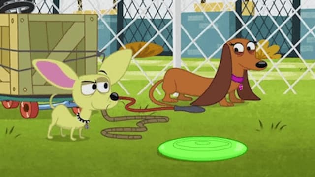 S02:E01 - Zipper the Zoomit Dog