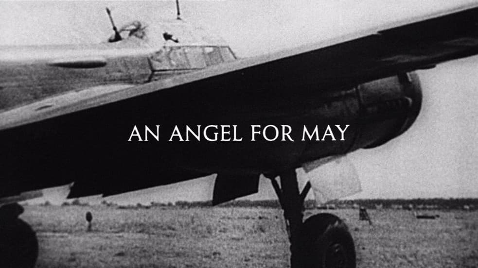 Watch An Angel for May Streaming Online Tubi Free TV