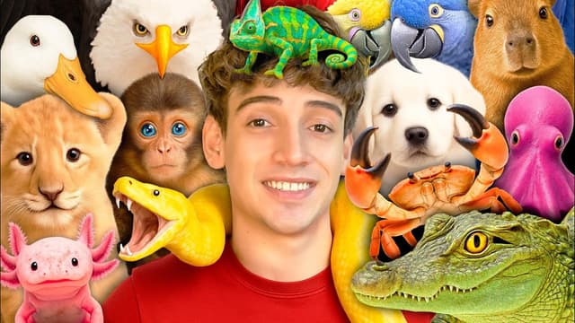 S01:E12 - 100 Peligrosas Mascotas