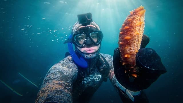 S01:E06 - Eating Wild Sea Creatures