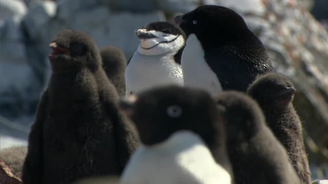 S01:E02 - A Window on a Changing World