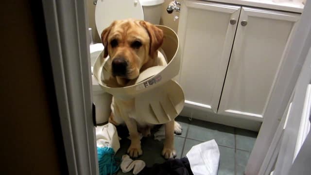 S02:E01 - Home Wreckers