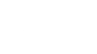 Life After Life