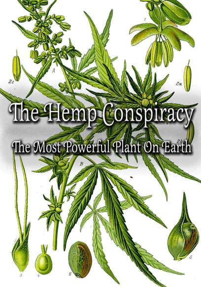 The Hemp Conspiracy: The Most Powerful Plant in the World