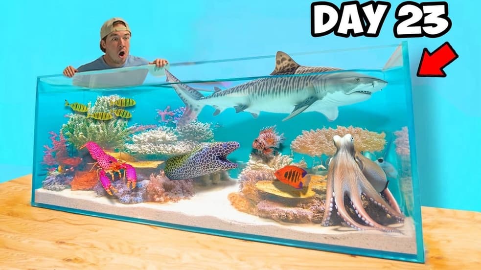 Watch The Fish Guys S03:E08 - Completing My Dream Saltwater Reef Pond ...