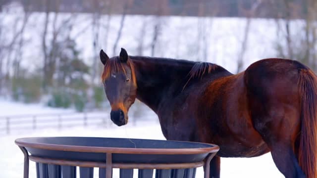 S01:E06 - Hondo and Mateo