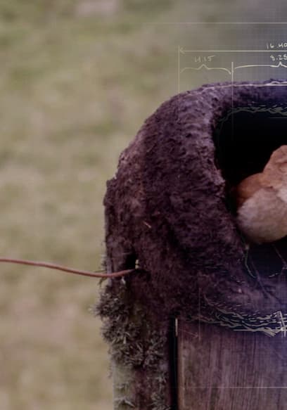 S01:E01 - The Nest poster