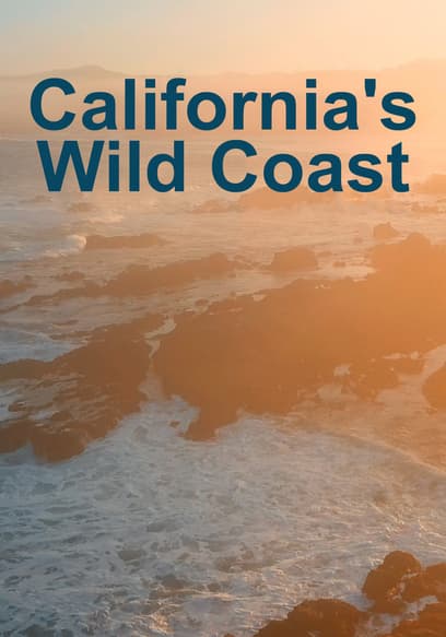 California's Wild Coast