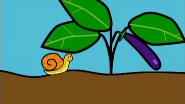 S01:E81 - Eggplant