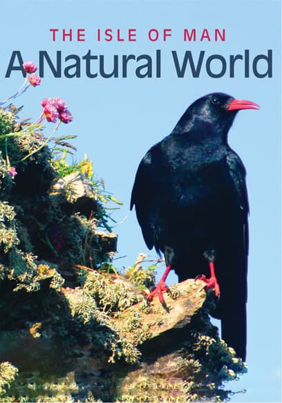 The Isle of Man a Natural World