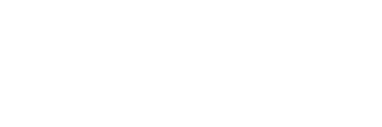 Steve Bruner: Simply Put