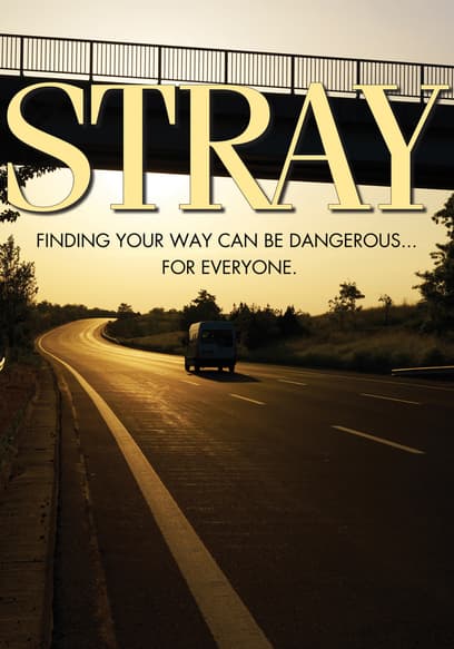 Stray