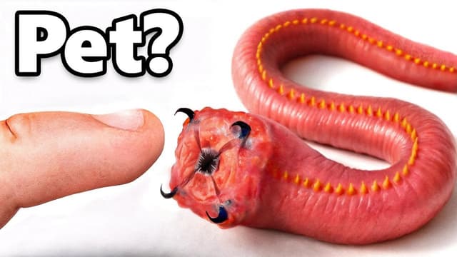 Watch Terra Green S03:E04 - I Got a Pet Bloodworm (Yes, Really) - Free ...