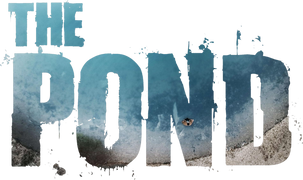 The Pond
