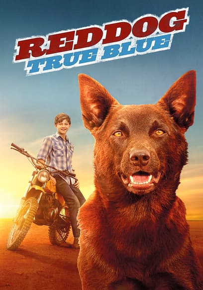 Red Dog: True Blue