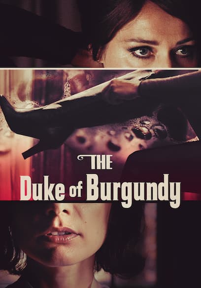 The Duke of Burgundy poster