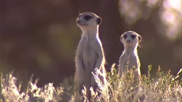 S01:E06 - Boys Will Be Boys