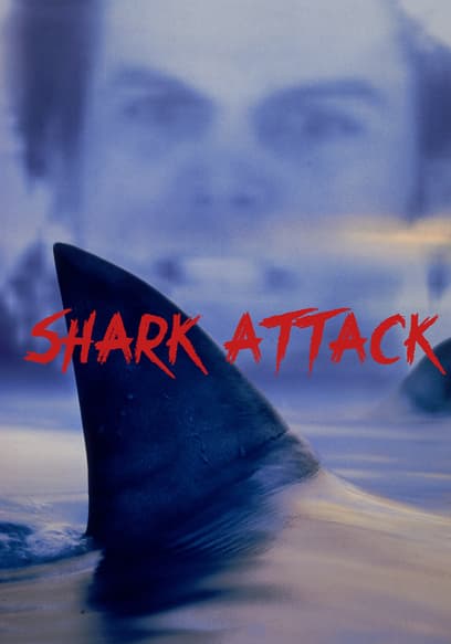 Shark Attack