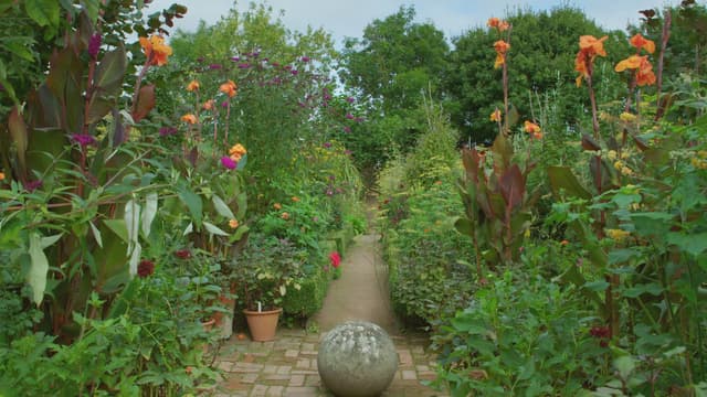 S08:E25 - Episode 25