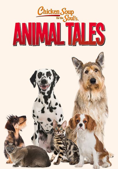 Chicken Soup for the Soul's Animal Tales