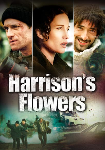 Harrison's Flowers