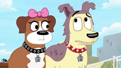 Watch Pound Puppies S02:E10 No Dogs Allowed Free TV Shows Tubi