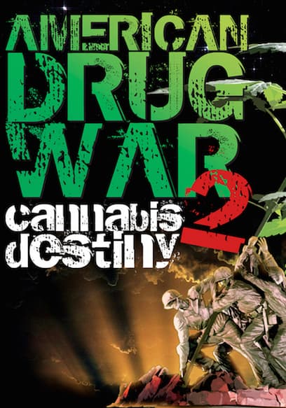 American Drug War 2