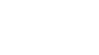 An Accidental Friendship