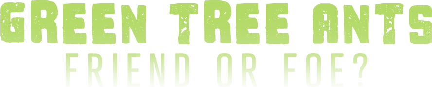 Green Tree Ants: Friend or Foe?