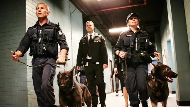 S01:E02 - Fly Me Away