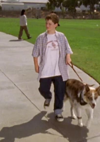 S01:E15 - Lie Like a Dog poster