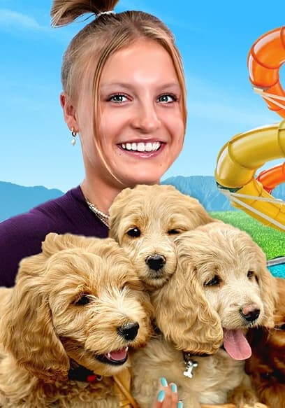 S01:E05 - World's Biggest Dog House! poster