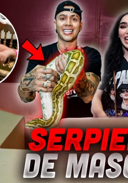 S04:E16 - Nos dieron una serpiente real poster