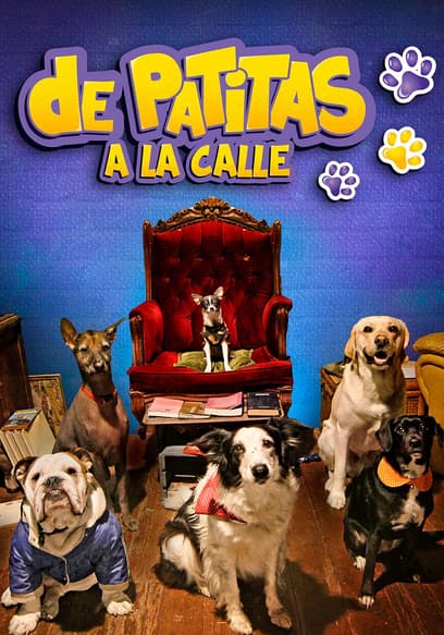 De patitas a la calle