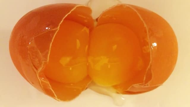 S01:E06 - Strange Elements & Space Monsters