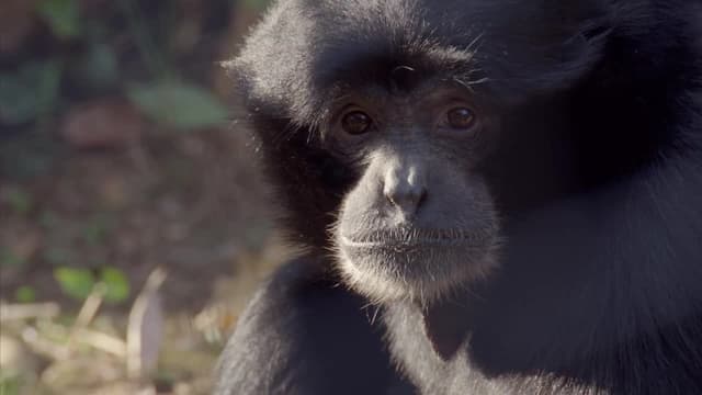 S01:E05 - Hunger Games