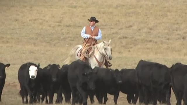 T01:C96 - S01:E96 - Deadly Siblings