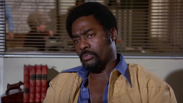 S03:E19 - Shark