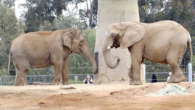 S01:E03 - Episodio 3