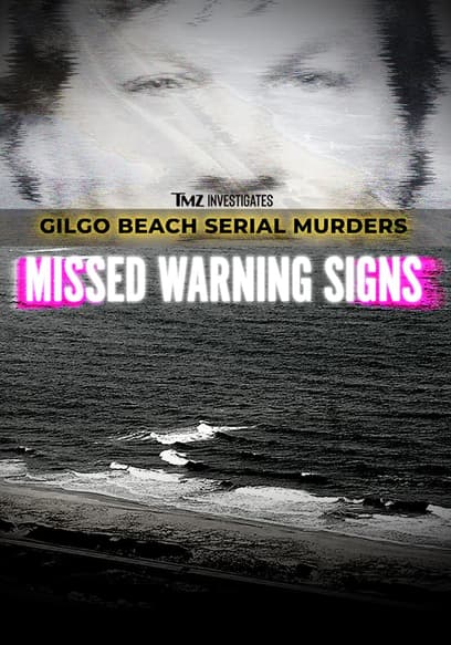 TMZ Investigates: Gilgo Beach Serial Murders: Missed Warning Signs poster