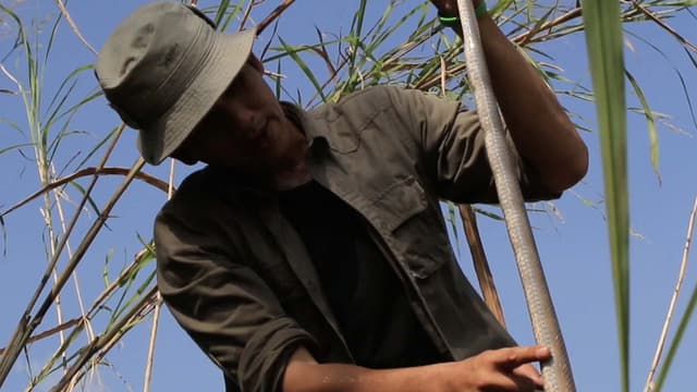 S01:E03 - Discovering the Cobra Hunter of Sukhothai