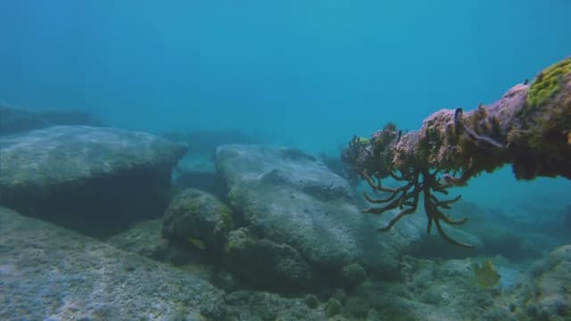 S01:E07 - Bermuda Triangle Doomsday