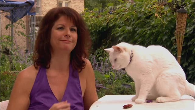 S01:E05 - Tuna Rock Cat