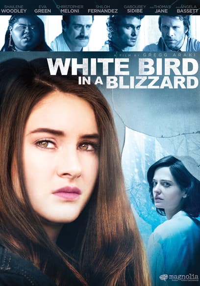 White Bird in a Blizzard