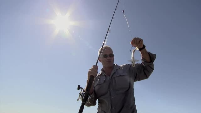 S03:E04 - Chainsaw Predator