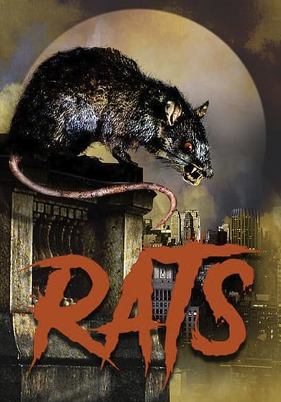 Rats