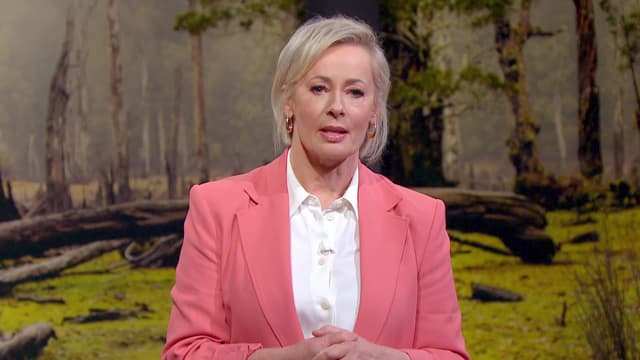 S01:E12 - The Reunion: 10 People Return