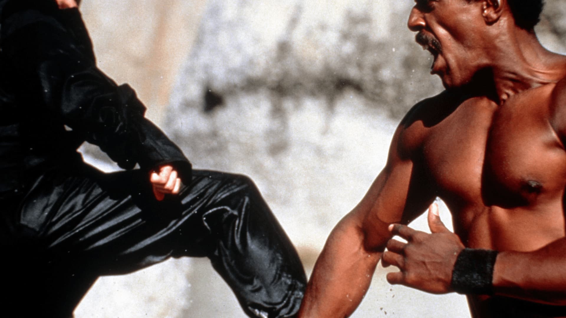 Watch american ninja 2 online free sale